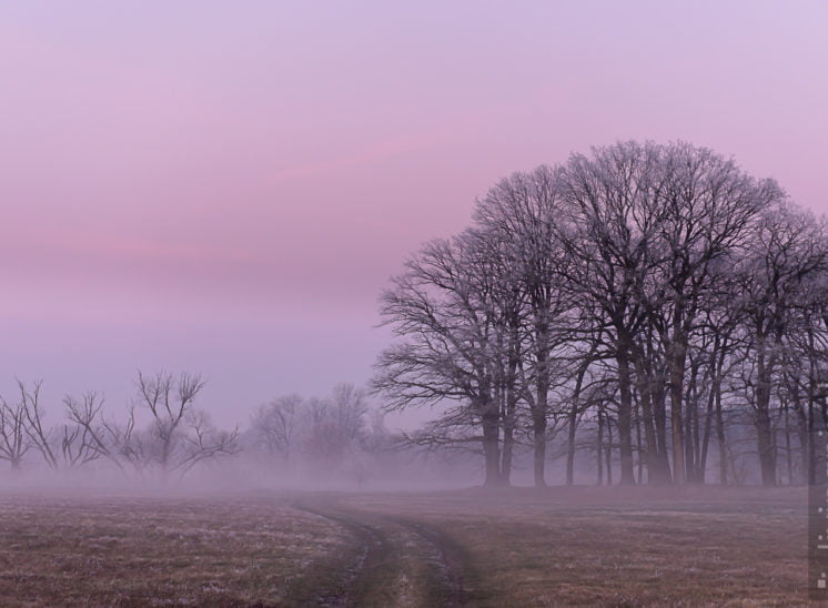 Winterstimmung