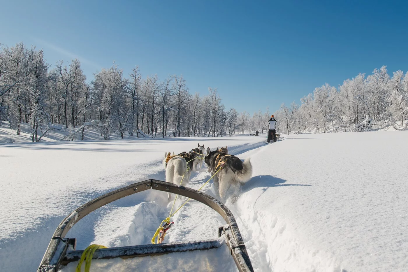 Husky Schlitten-Tour, Winter-Wunder-Land