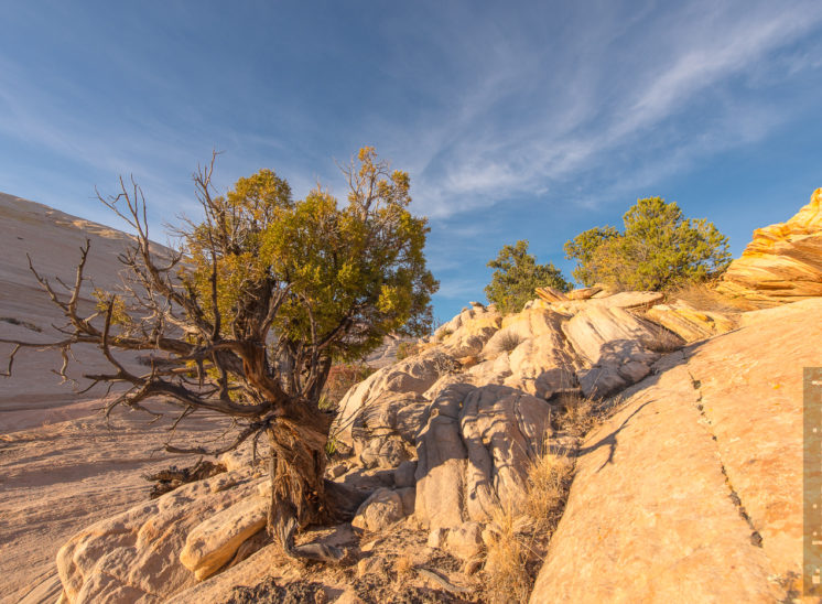 Yellow Rocks