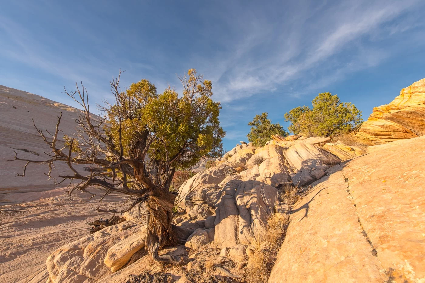 Yellow Rocks