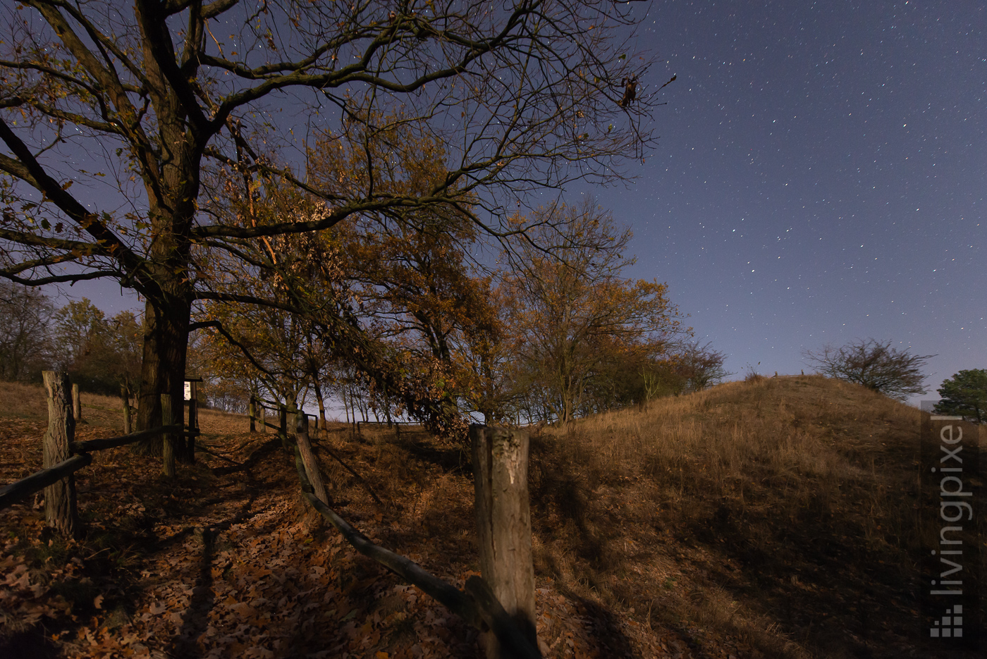 Herbstmond