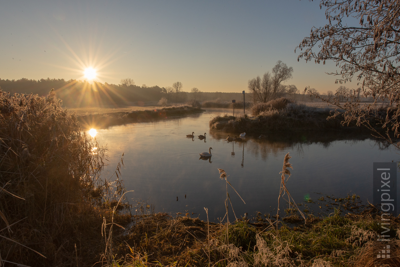 Sonnenaufgang an der Spree