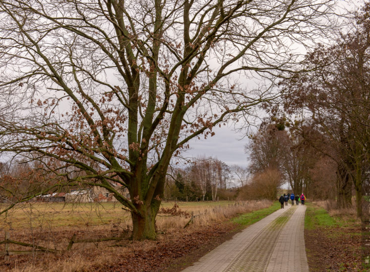 Rückweg