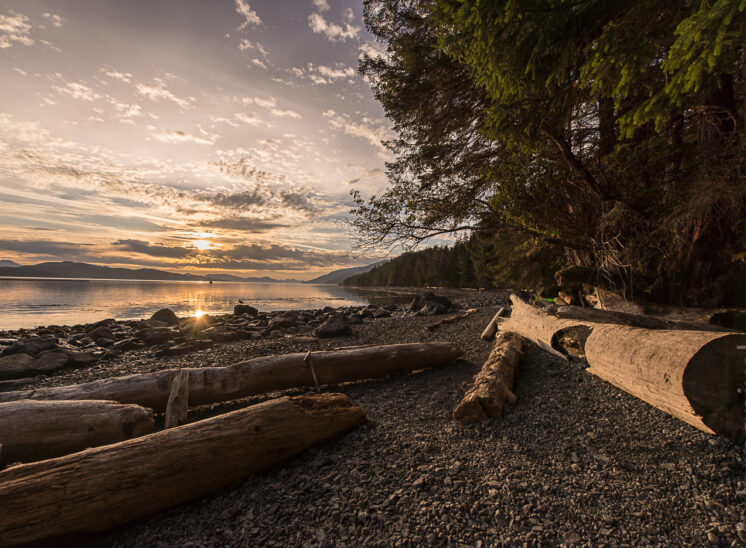 Sonnenaufgang im Orca Camp