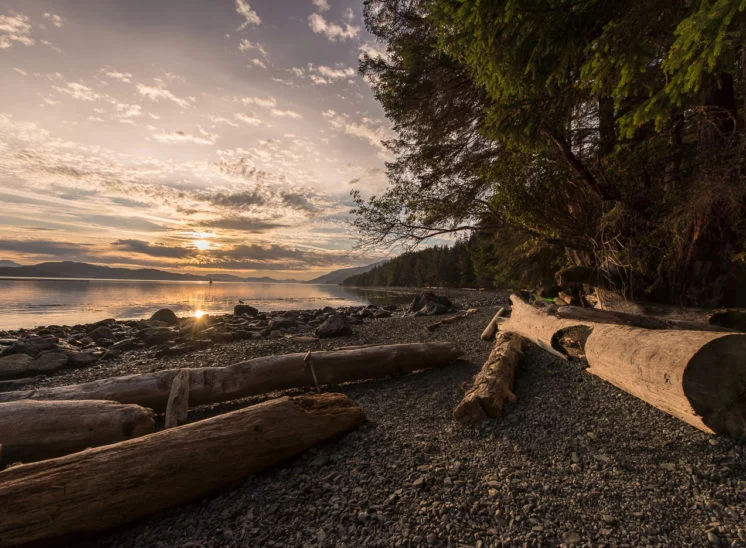 Sonnenaufgang im Orca Camp