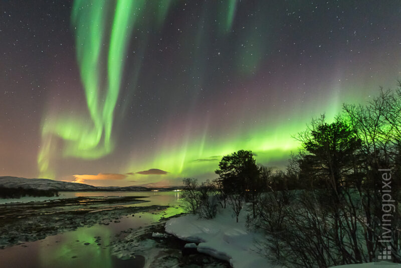 Polarlicht, Leuchten über dem Fjord 