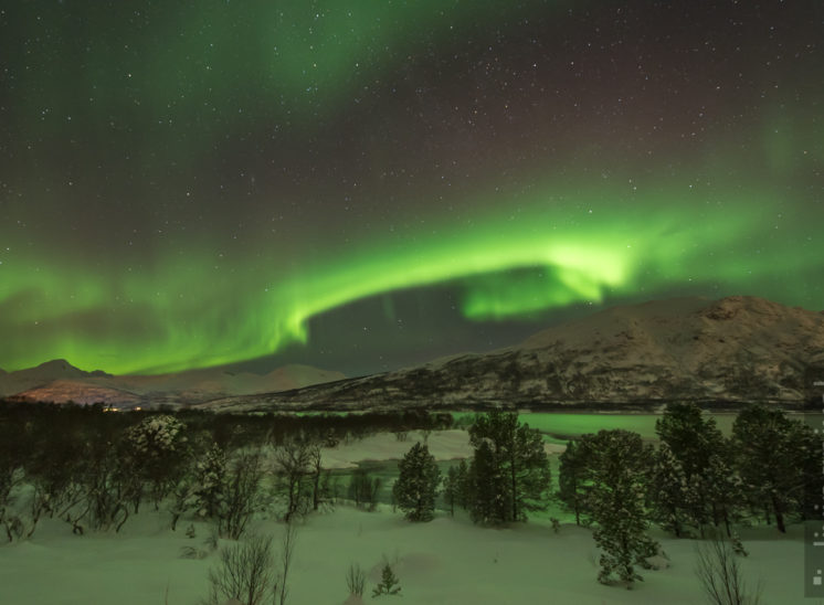 Polarlicht über dem Fjord