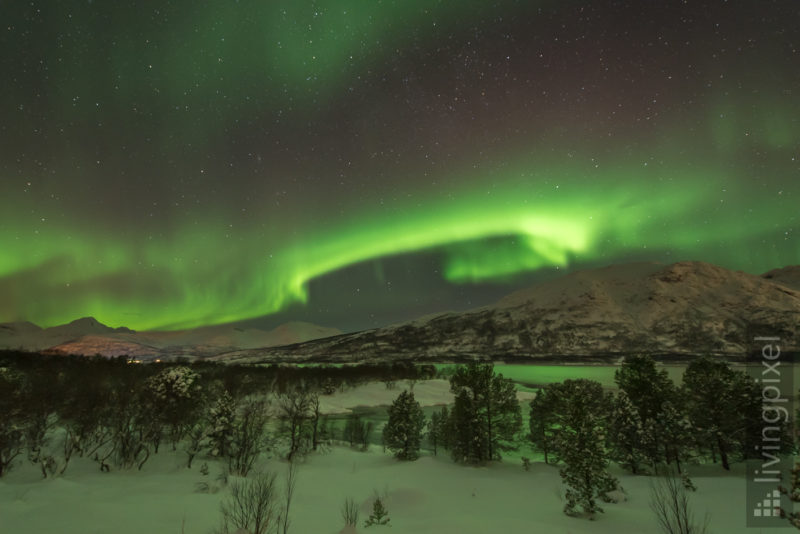 Polarlicht über dem Fjord