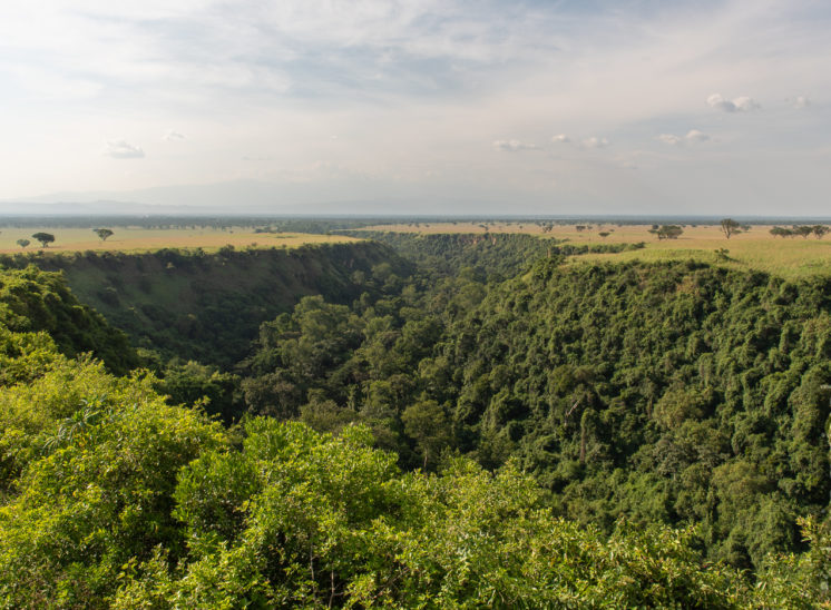 Schlucht inmitten der Savanne