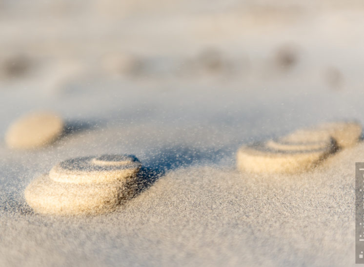 Kunstwerke im Sand