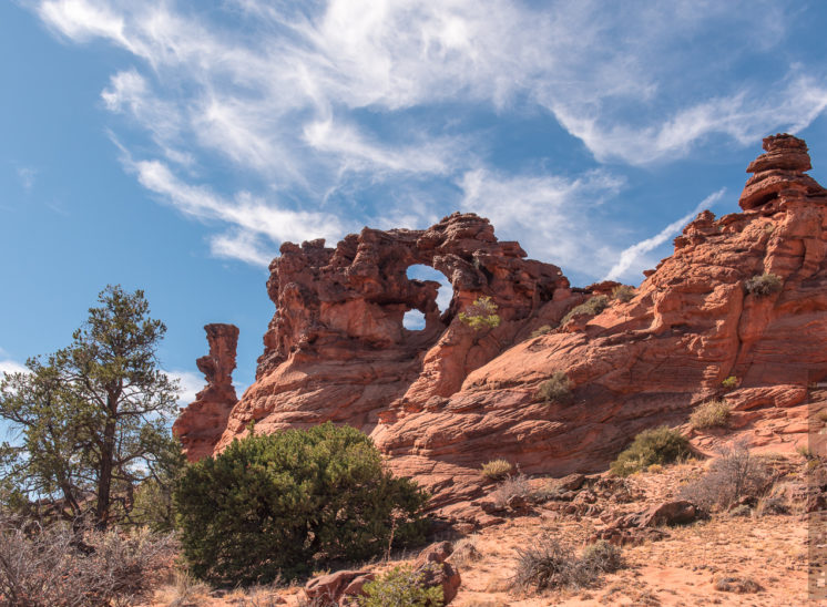 Double Barrel Arch