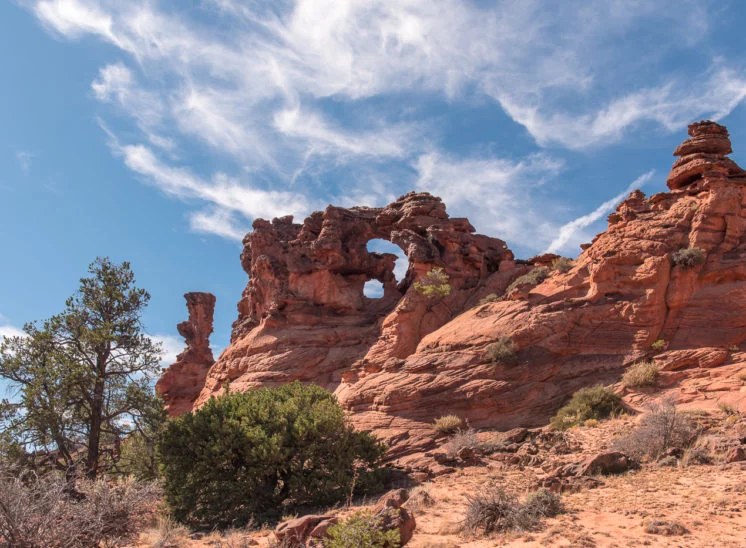 Double Barrel Arch
