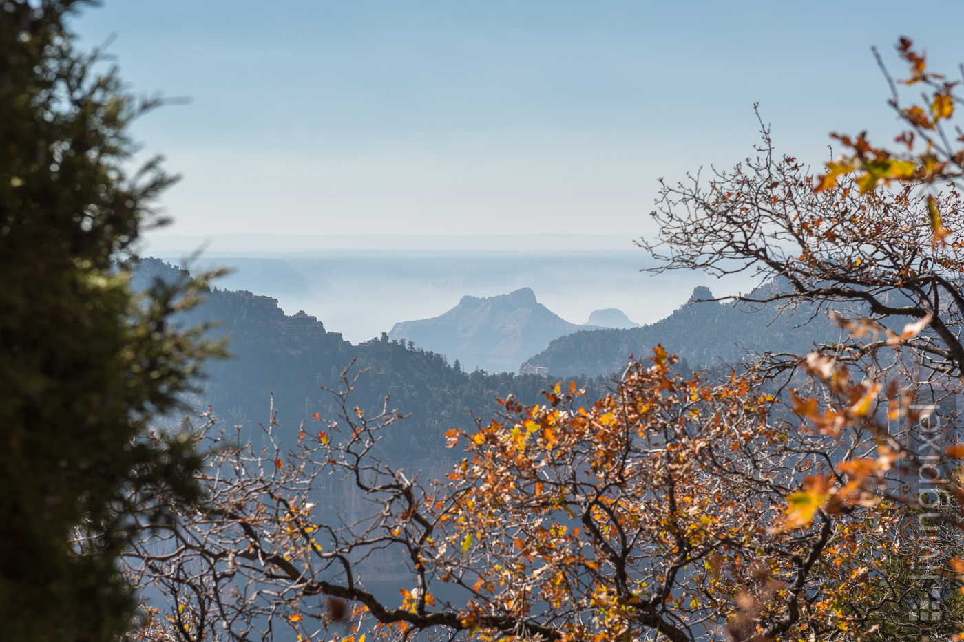 Herbstfarbem am Canyon