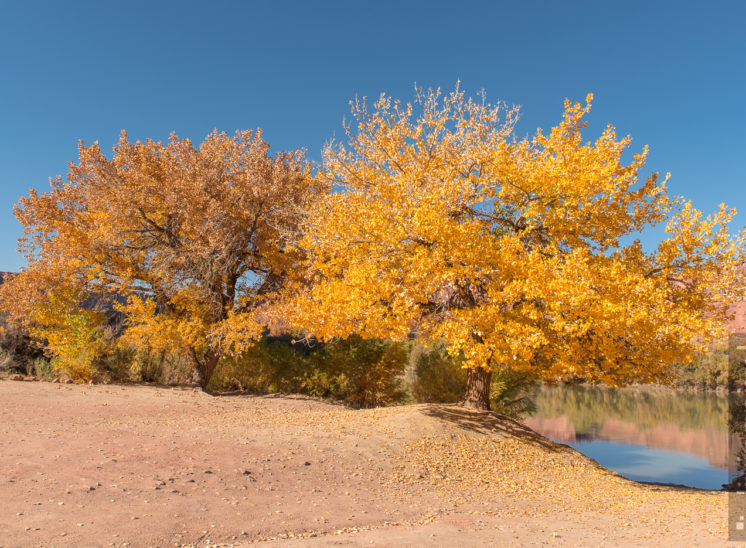 Herbstfarben