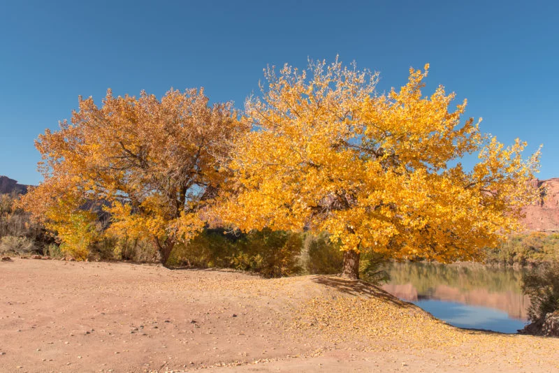 Herbstfarben