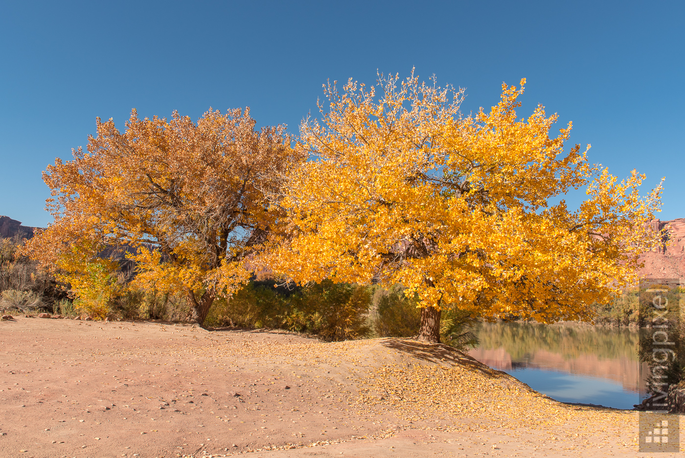 Herbstfarben