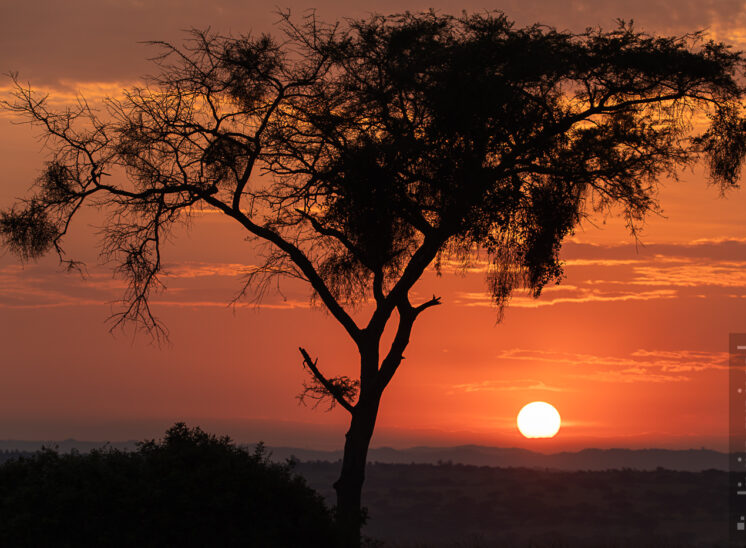 Sonnenaufgang im Ishasha