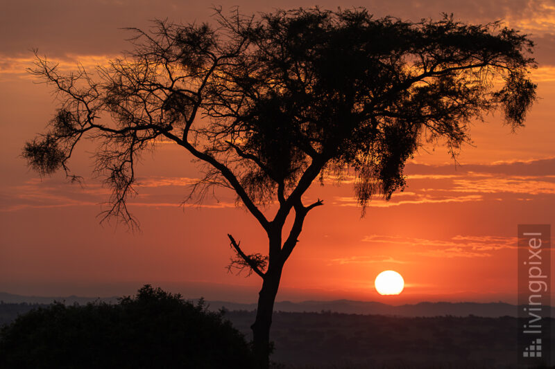 Sonnenaufgang im Ishasha