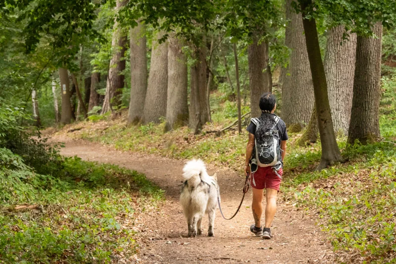 Auf dem Weg