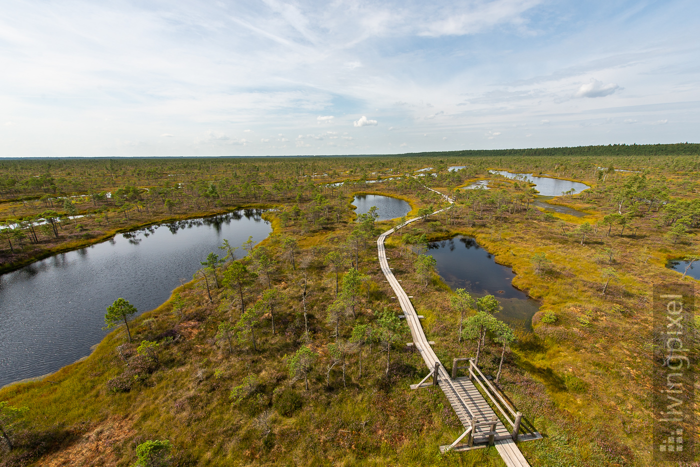 Moorlandschaft