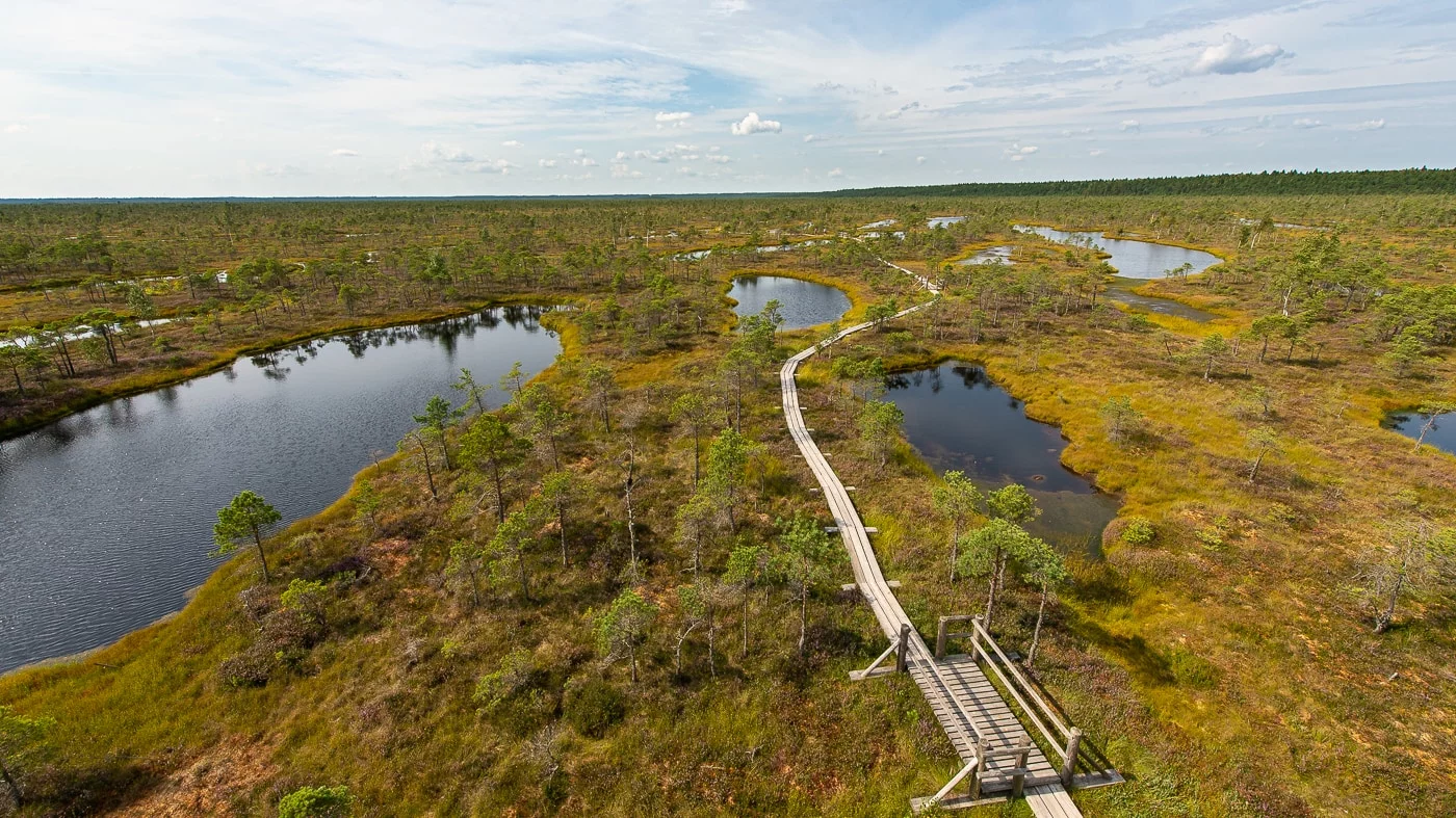 Moorlandschaft