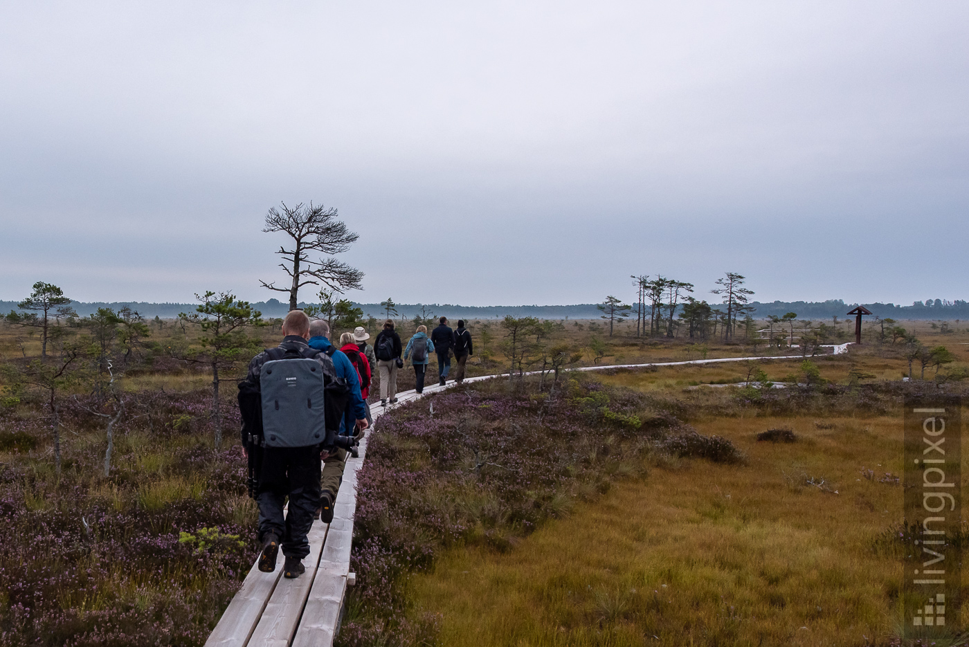 Moorwanderung