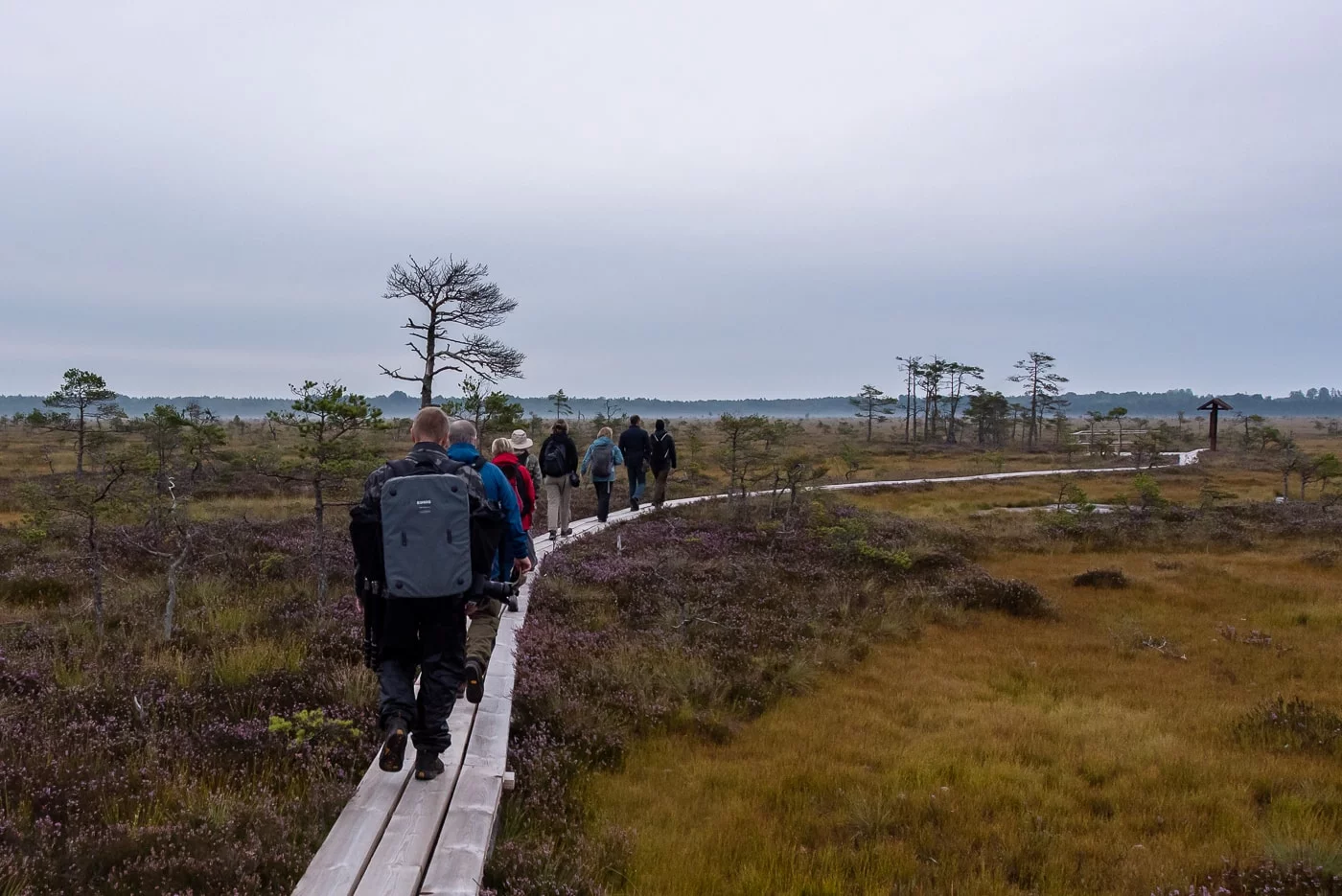 Moorwanderung