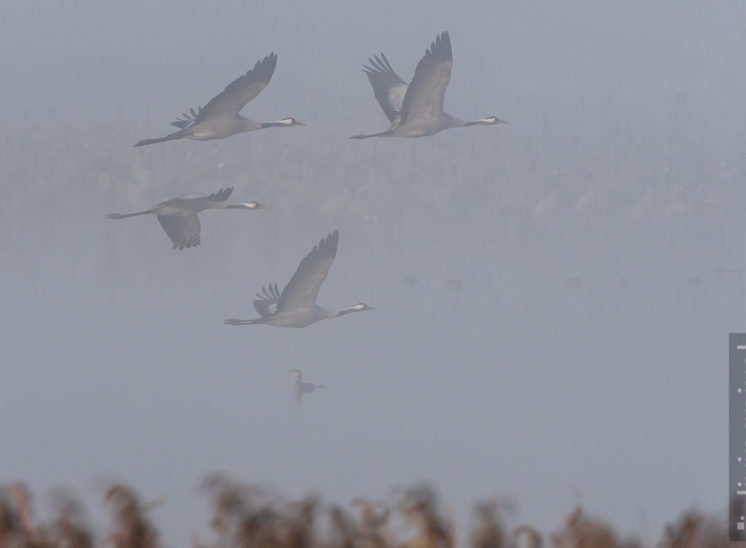 Start im Nebel