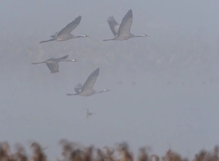 Start im Nebel