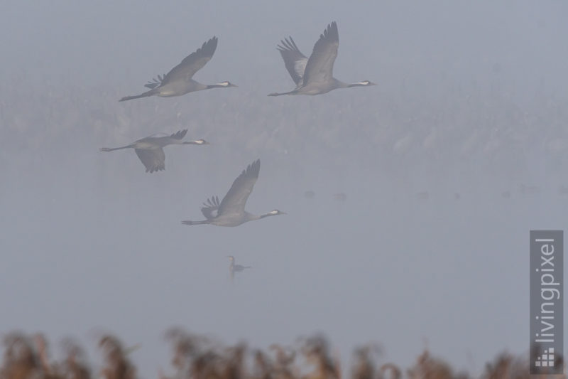 Start im Nebel