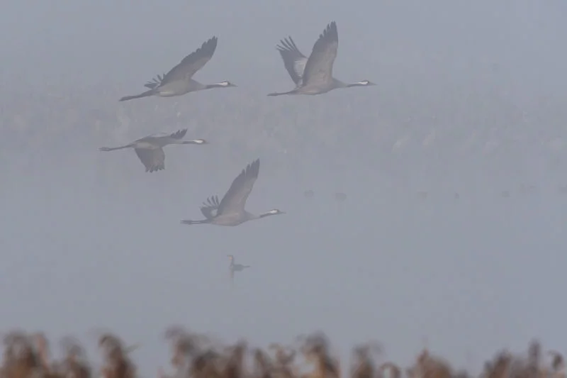 Start im Nebel