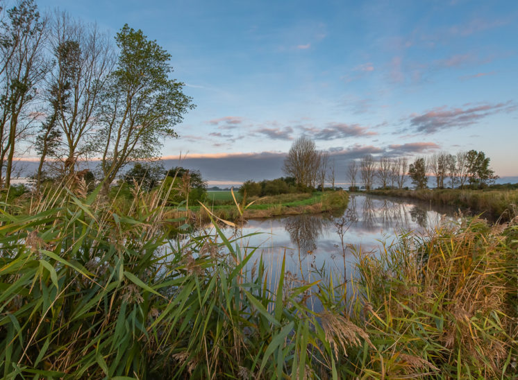 Morgenstimmung am Rosenhäger Beck