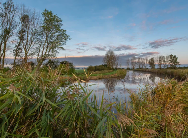 Morgenstimmung am Rosenhäger Beck
