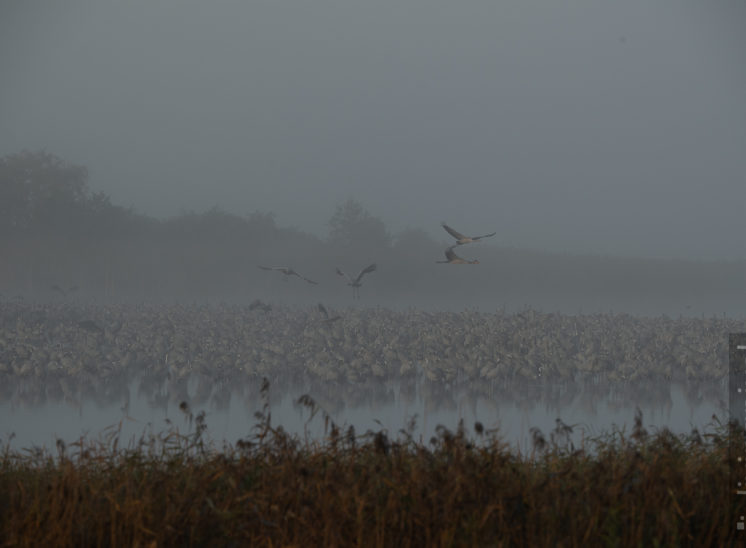 Start im Nebel