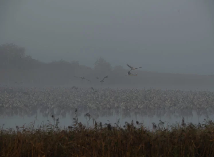 Start im Nebel