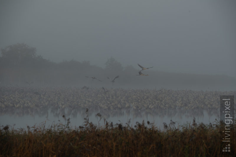 Start im Nebel