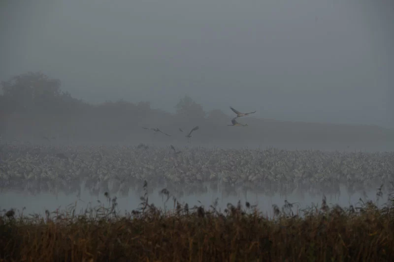Start im Nebel