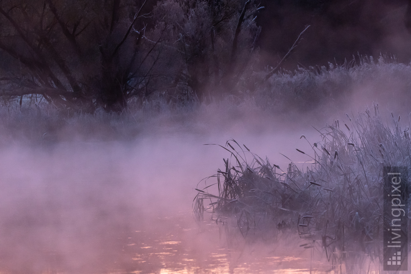 Nebel über der Spree