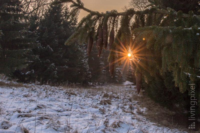 Winter Sonnenuntergang