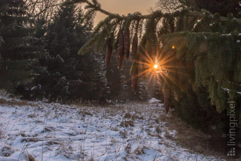 Winter Sonnenuntergang