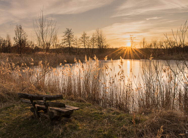 Sonnenuntergang am Teich