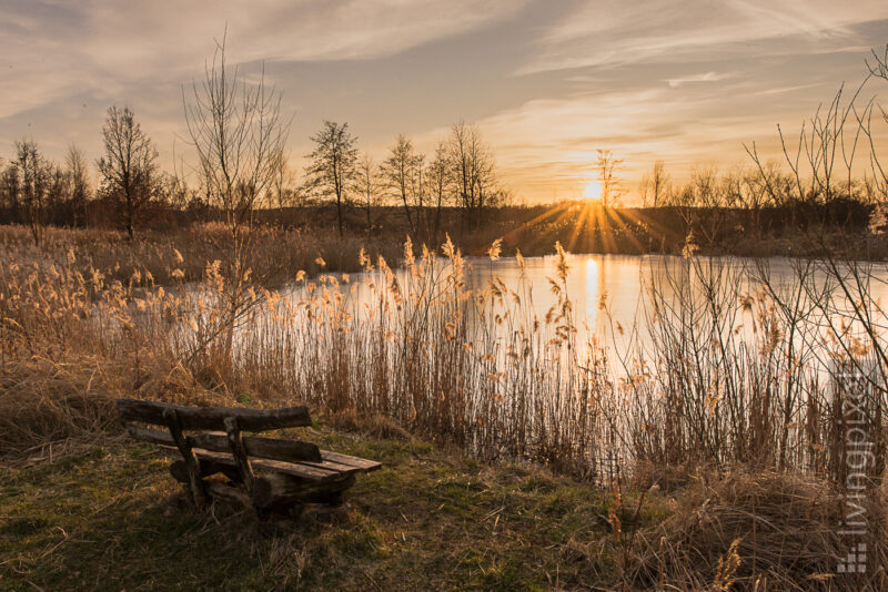 Sonnenuntergang am Teich