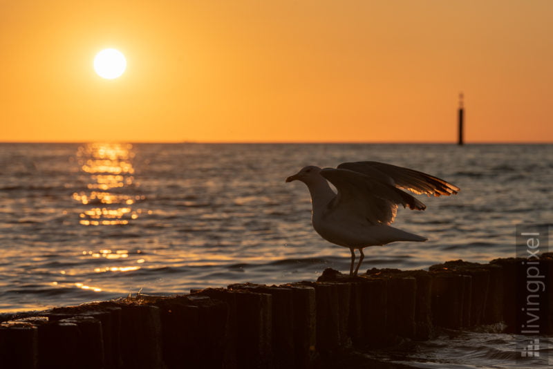 Sonnenuntergang