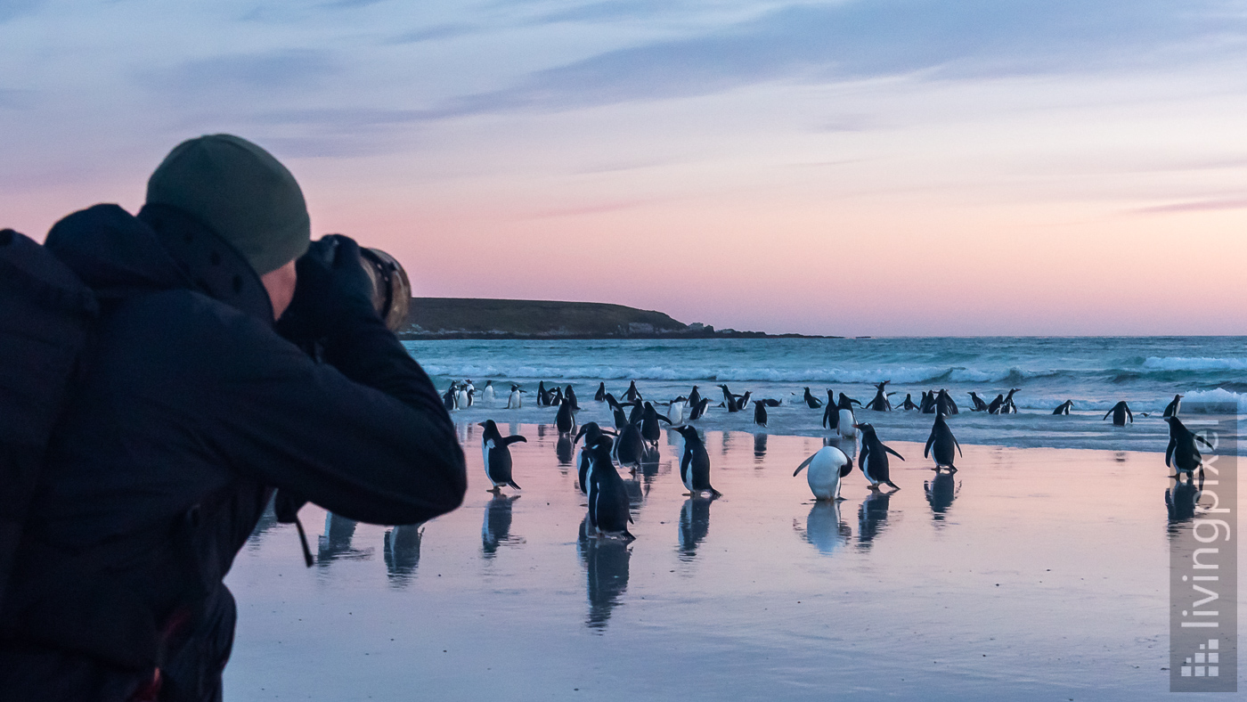 Fotografieren am Morgen