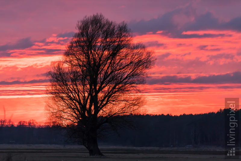 Sonnenuntergang