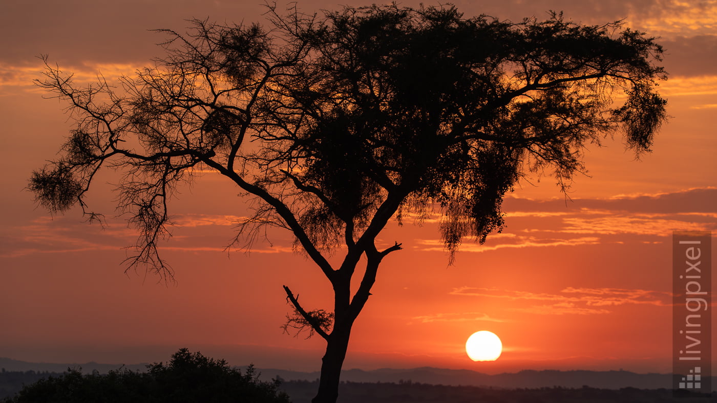 Sonnenaufgang im Ishasha