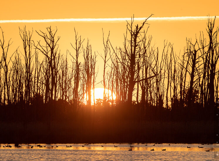 Sonnenaufgang