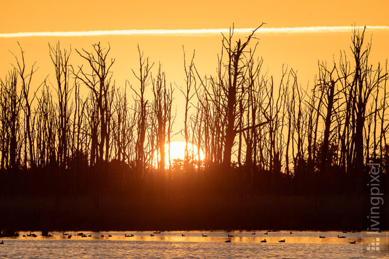 Sonnenaufgang