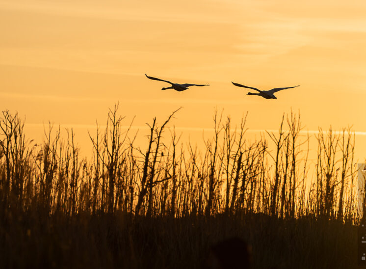 Sonnenaufgang