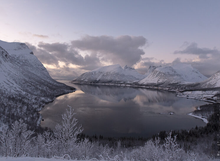 Reflektion im Fjord